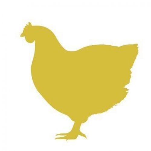 Grippe aviaire : risque élevé