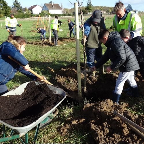 Le verger participatif du Poinçonnet