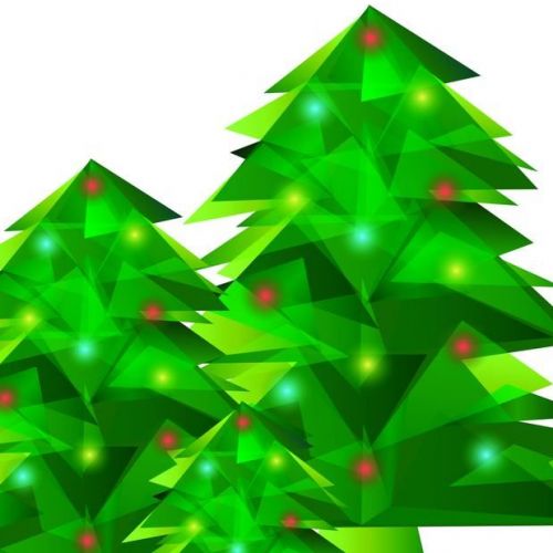 Collecte des sapins