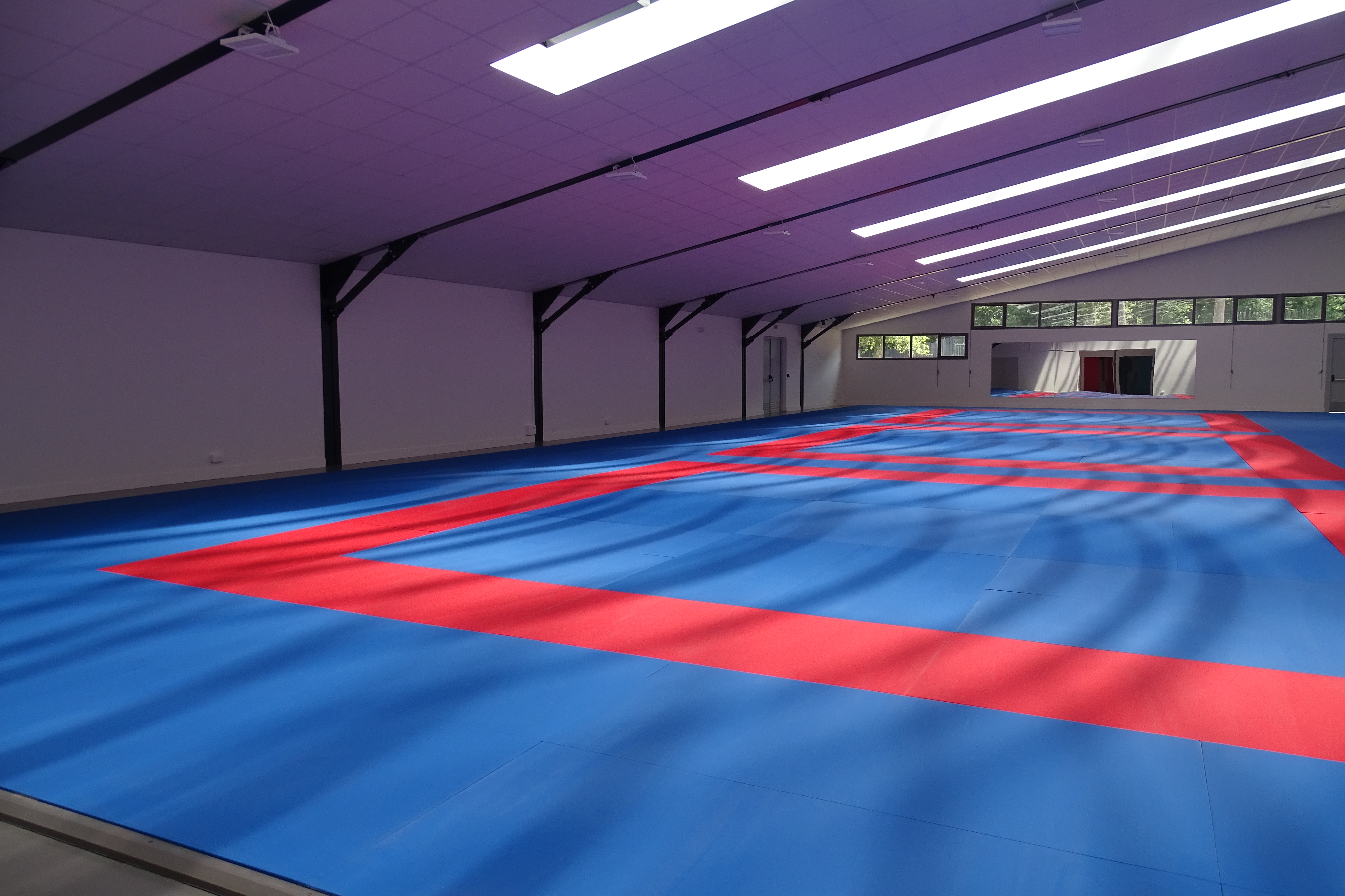 Dojo
